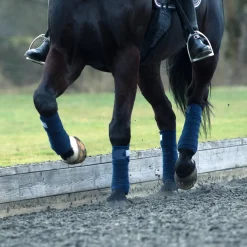 France Stallbandagen