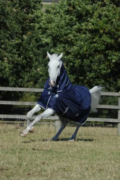 Freedom + Neck 100 g Rug Set