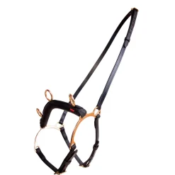 gebissloser Zaum mit Bügel