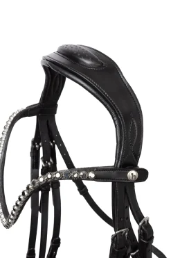 Glamourdale Weymouth Kandare