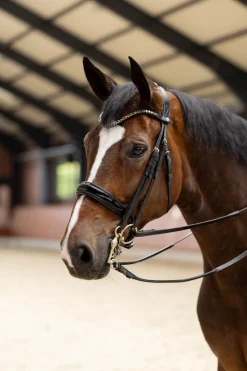 Glamourdale Weymouth Kandare