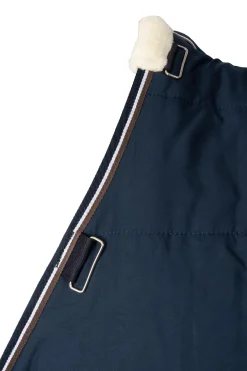 Glasgow Ponys Stalldecke