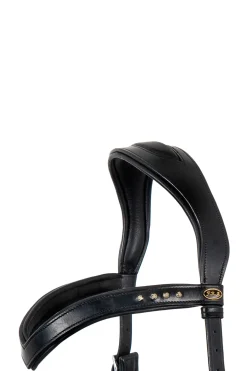 Glory gebisslose Trense mit Zügeln (System 4)