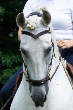 Glory Hackamore Zaum mit Zügeln (System 2), braun