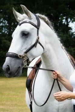 Glory Hackamore Zaum mit Zügeln (System 2), braun