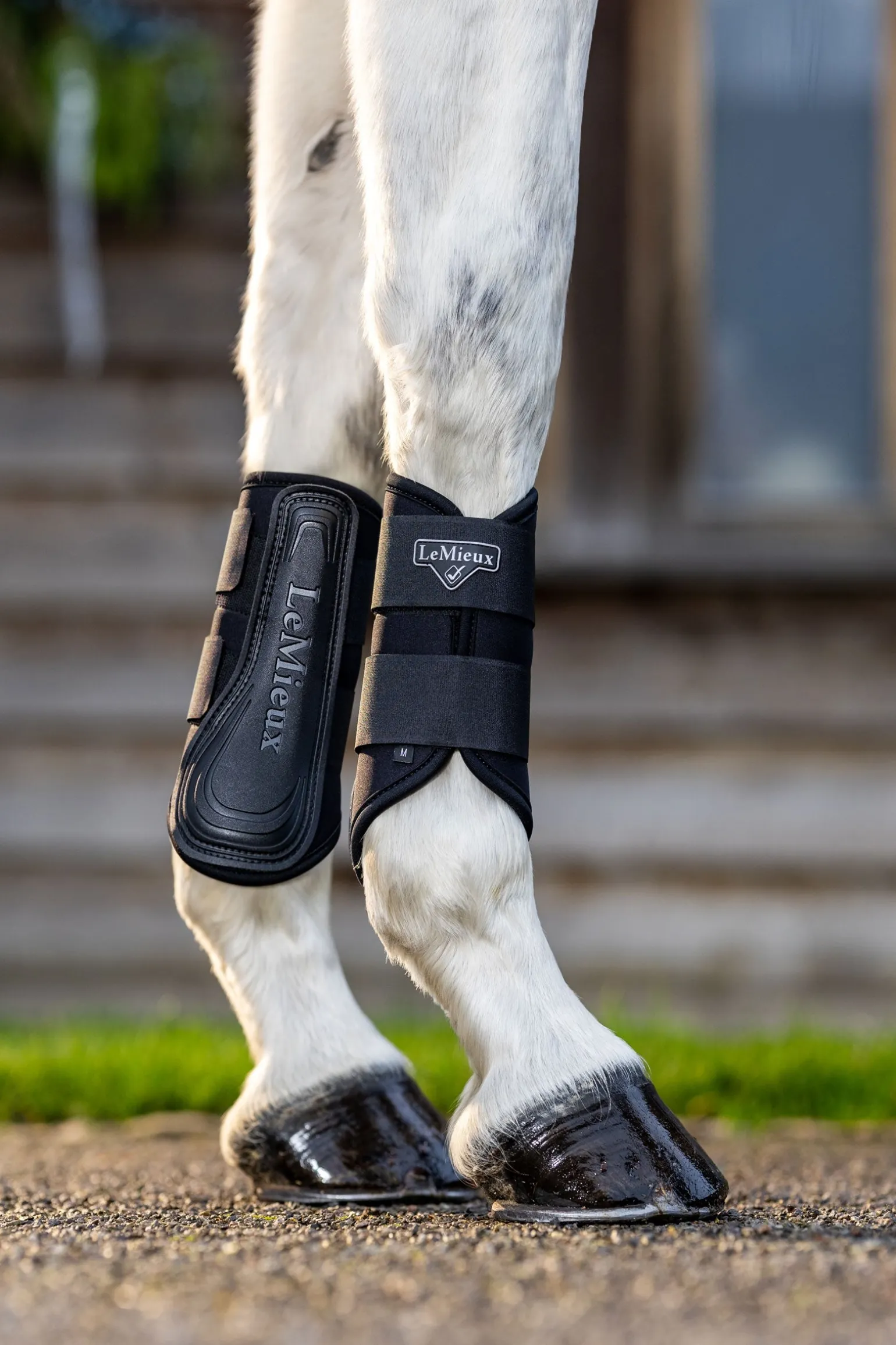 Grafter Dressurgamaschen