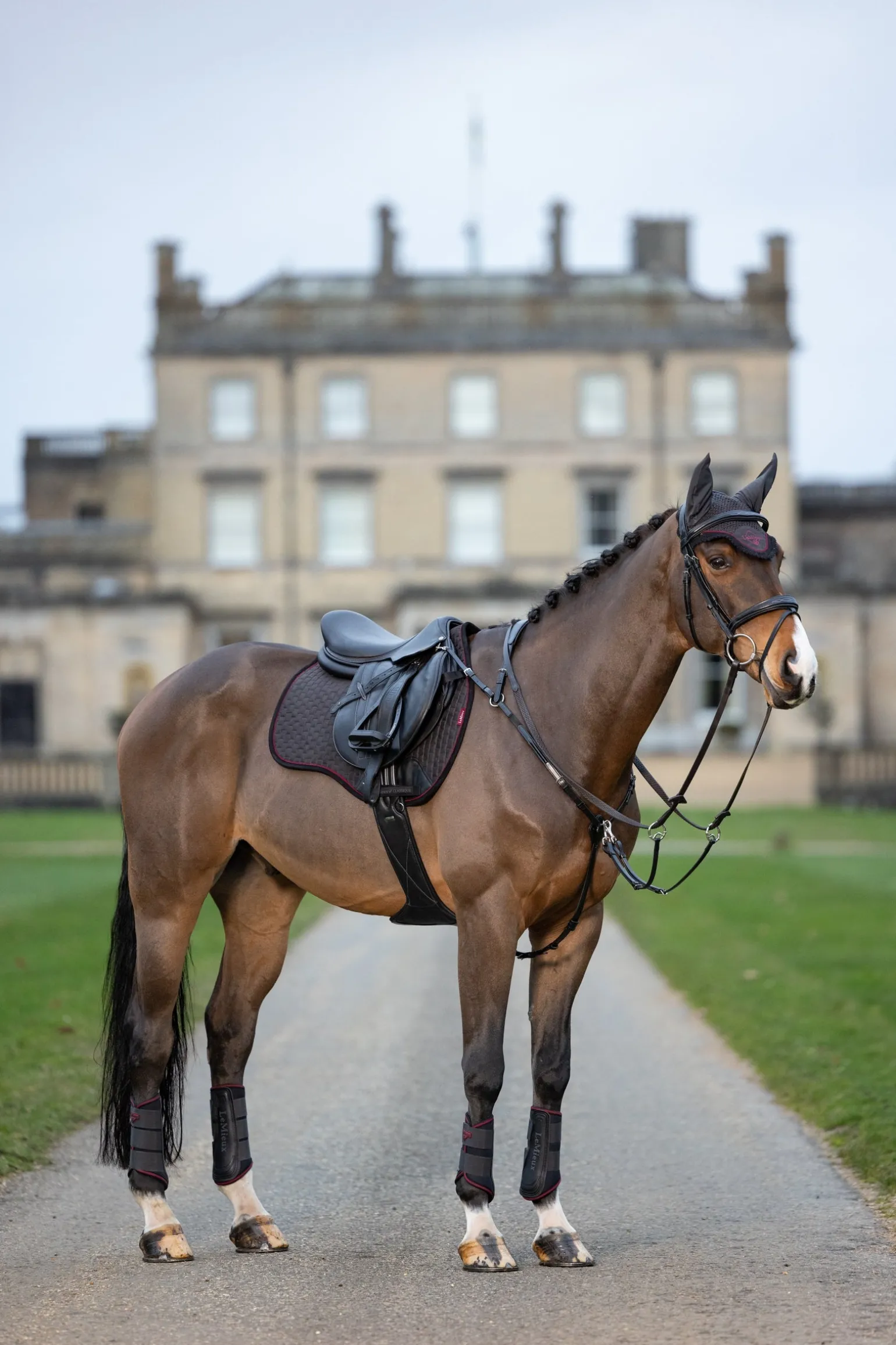 Grafter Fesselkopfgamaschen