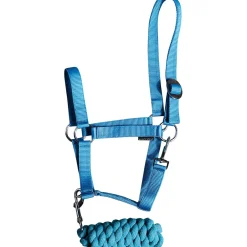 Halfter-Set Einsteiger