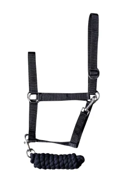 Halfter-Set Einsteiger