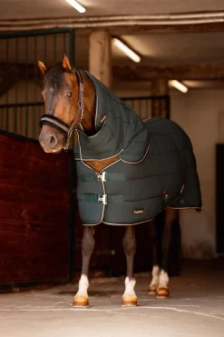 Halsteil für Glasgow Stalldecke für Ponys