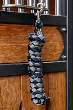 Harlequin Führstrick