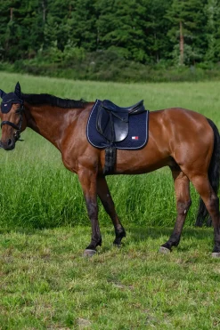 Harvard Dressurschabracke