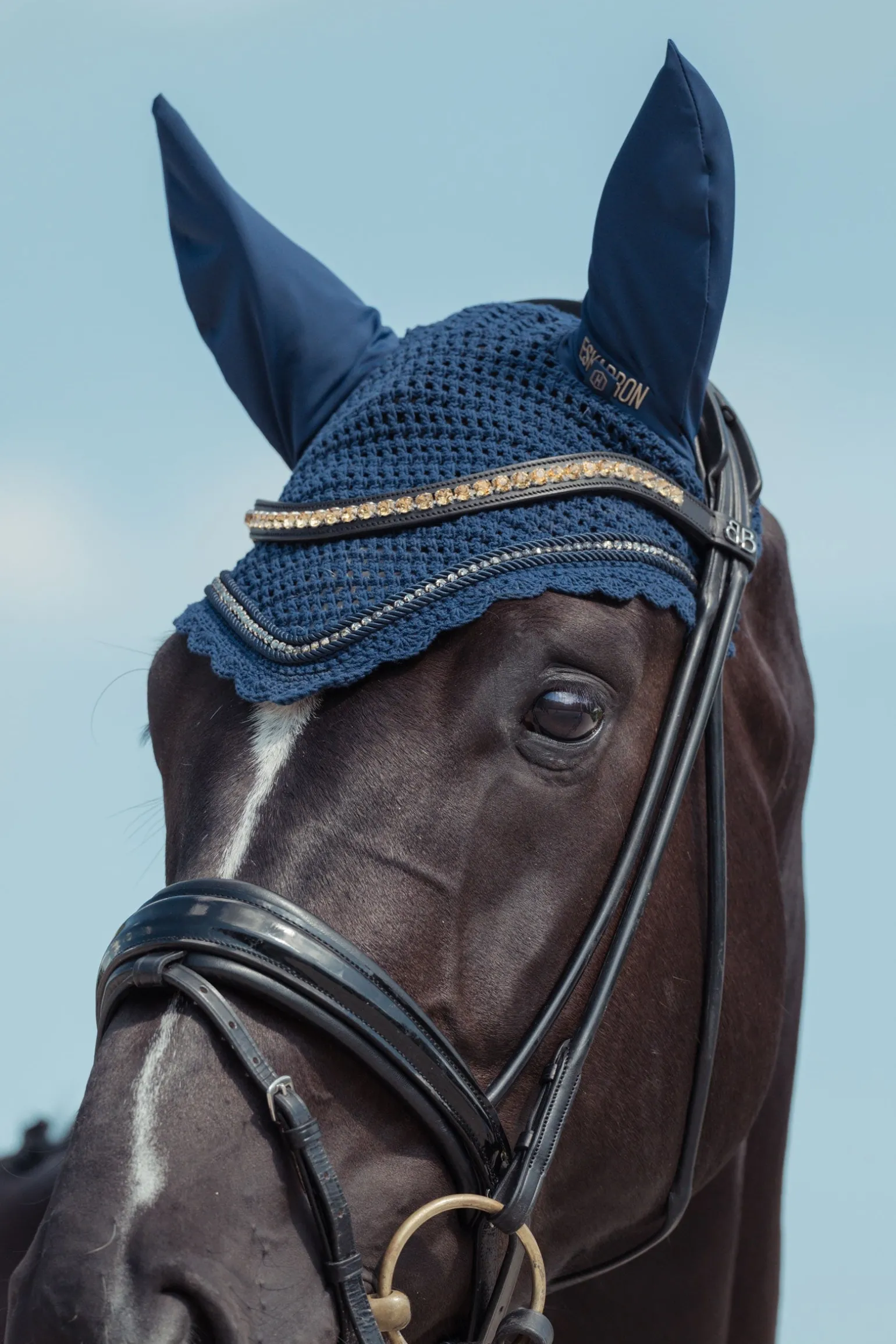 Heritage AW24 Crystal Fliegenohren