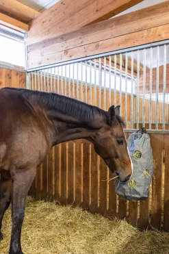 Heutasche aus Canvas