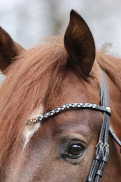 Hopscotch Stirnriemen