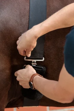 Horselight Bauchgurt mit rotem Rücklicht