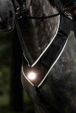 Horselight Vorderzeug- und Sattelleuchte, Set 1