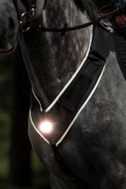 Horselight Vorderzeug- und Sattelleuchte sowie Beinmanschetten, Set 2