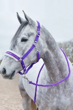 Howard weicher Führstrick