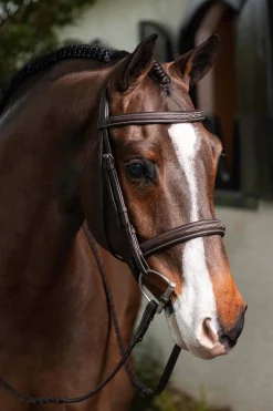 Hunter Zaumzeug mit Bestickung