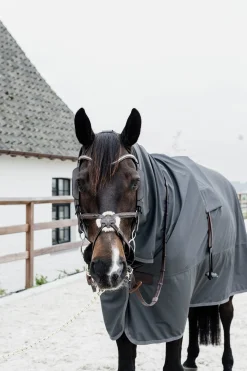Hurricane Regendecke, 0g