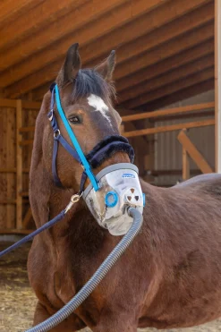 Inhalationsmaske inkl. Zubehör für AirOne, Kaltblut