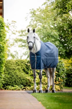 Ionic Therapy Stalldecke, 50g