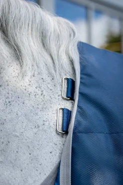 Ionic Therapy Stalldecke, 50g