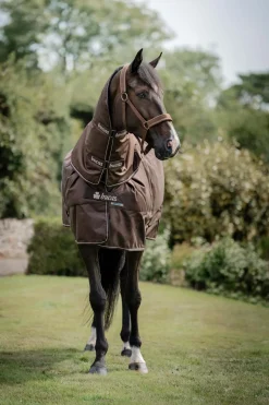 Irish Turnout 50 g Rug & Neck