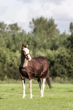 Irish Turnout 50 g Rug & Neck