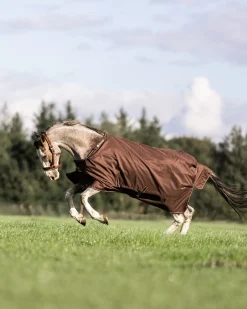 Irish Turnout 50 g Rug & Neck