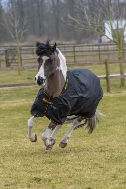 Irish Weidedecke, 50g