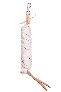 Jarn NH Arbeitsseil Profi, mit Leder, 14 mm / 6,80 m