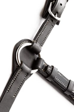 Jerome 2-Punkt Brustblatt