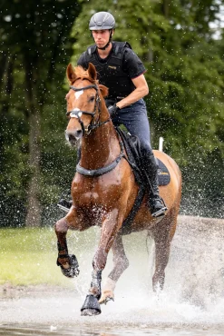 Jerome 2-Punkt Brustblatt