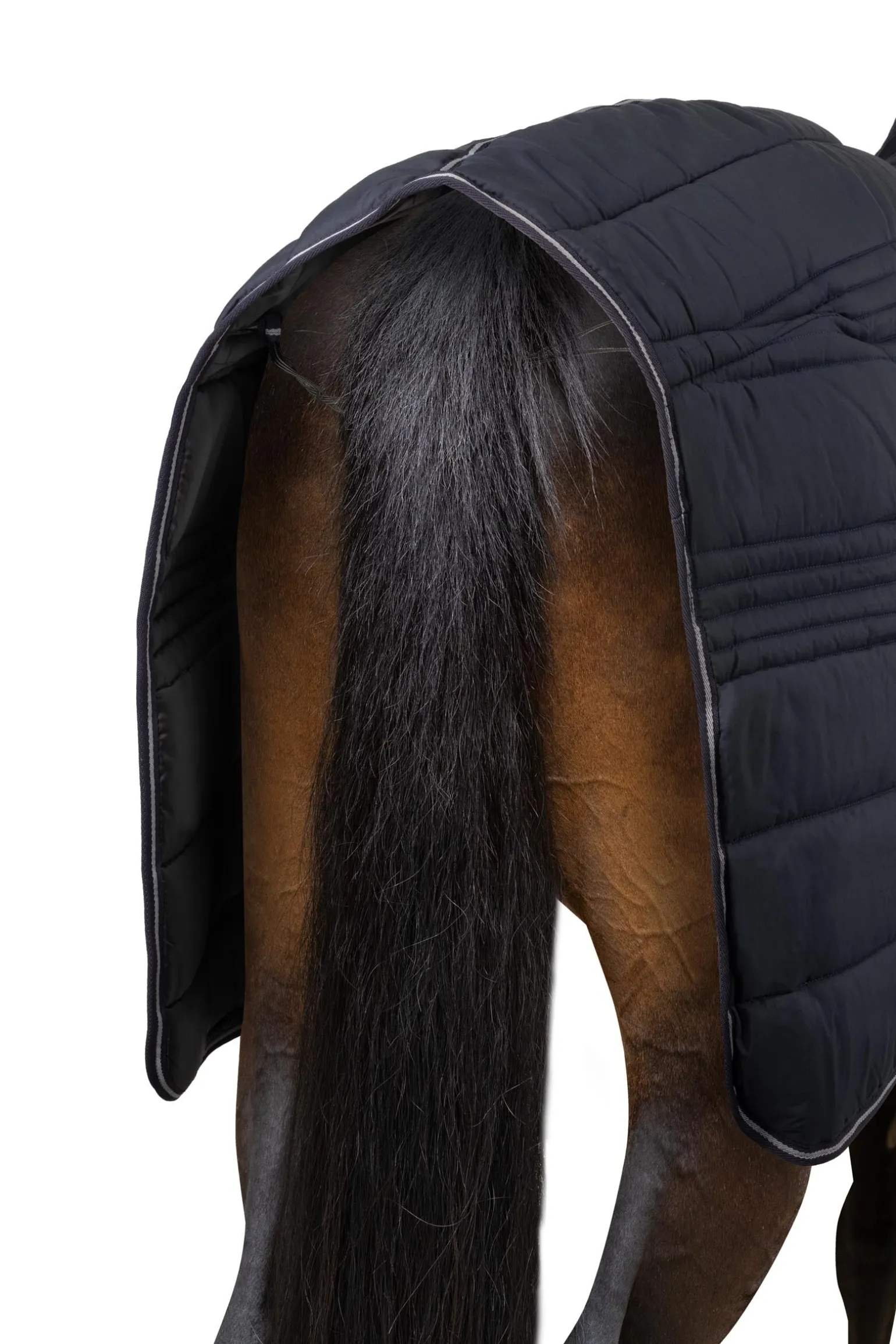 Kingsley Combo Stalldecke mit Halsteil, 300g