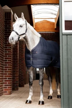 Kingsley Stalldecke, 300g