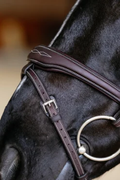 Kudos Contour anatomischer Trensenzaum mit kombiniertem Reithalfter