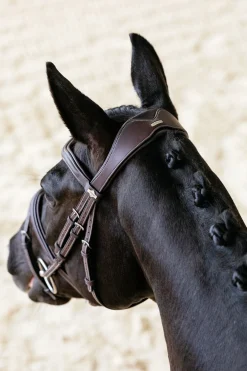 Kudos Contour anatomischer Trensenzaum mit kombiniertem Reithalfter