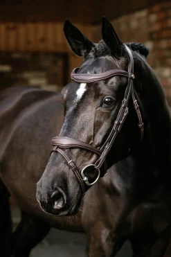 Kudos Contour anatomischer Trensenzaum mit kombiniertem Reithalfter