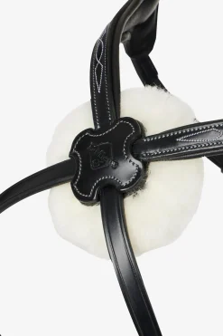 Kudos Mexikanisches Zaumzeug