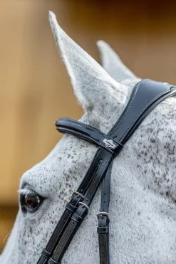 Kudos Mexikanisches Zaumzeug