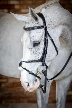 Kudos Mexikanisches Zaumzeug