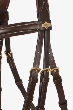 Kudos Mexikanisches Zaumzeug