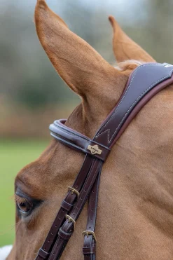 Kudos Mexikanisches Zaumzeug