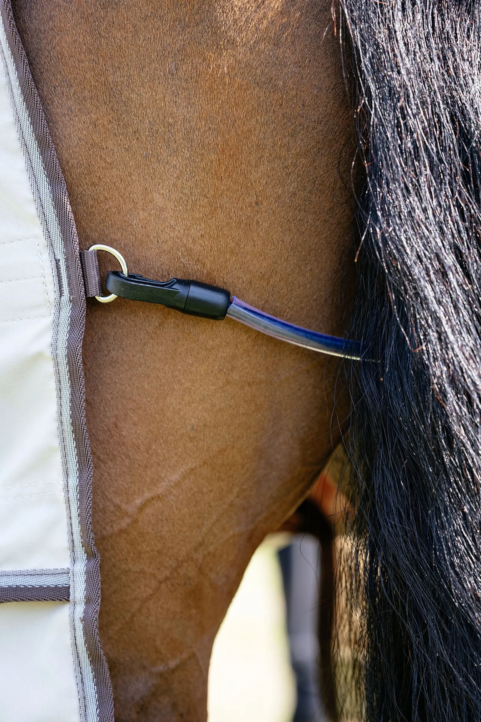 Kudos Shower Pro Ekzemerdecke mit abnehmbarem Halsteil