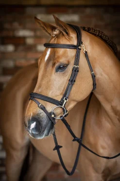 Kudos Work Trensenzaum