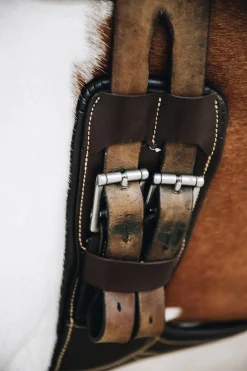 kurzer Stollenschutzsattelgurt