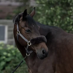 Laurier Halfter mit Lammfell