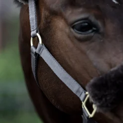 Laurier Halfter mit Lammfell